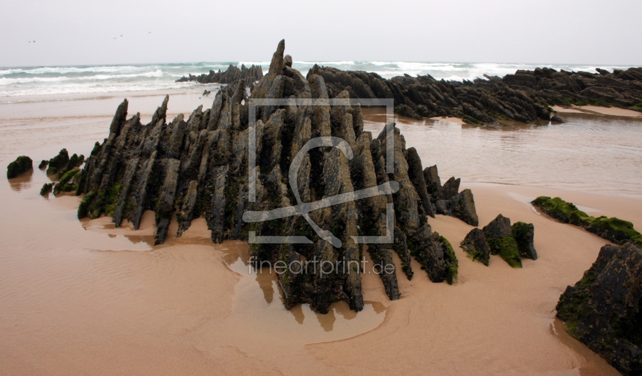 Bild-Nr.: 9793946 natural structures erstellt von Bettina Schnittert