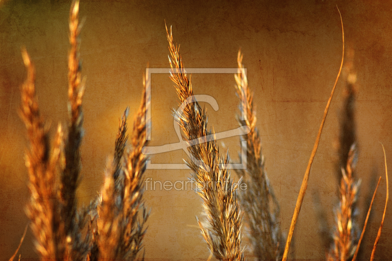 Bild-Nr.: 9795590 Herbstfarben erstellt von FotoDeHRO