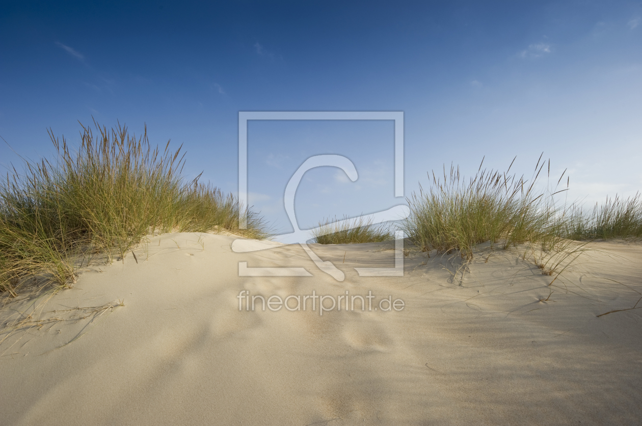 Bild-Nr.: 9798038 neulich am Strand 8 erstellt von danielschoenen