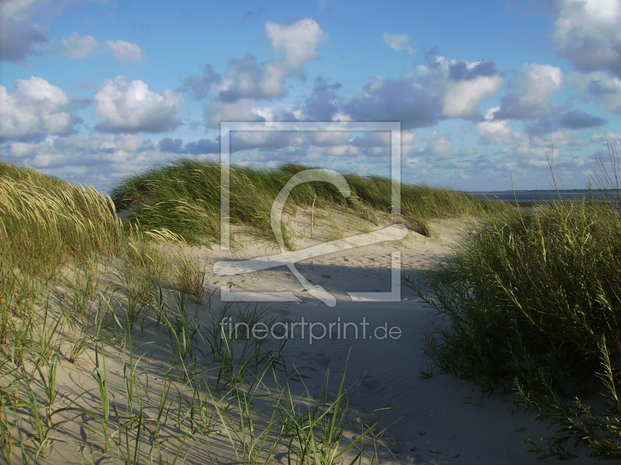 Bild-Nr.: 9798960 Dünenlandschaft auf Föhr erstellt von UTLDesign