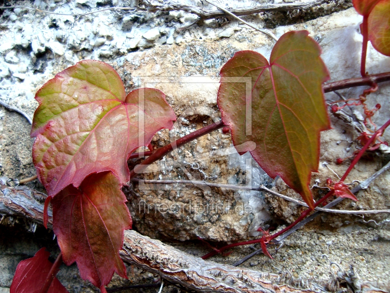 Bild-Nr.: 9799232 Herbstboten erstellt von fly0my0butterfly