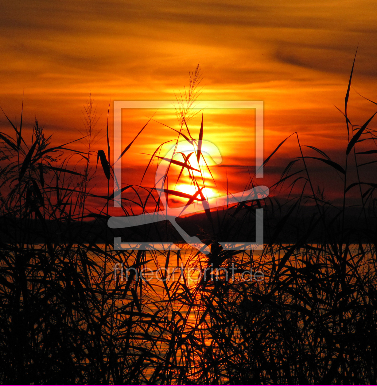 Bild-Nr.: 9806372 Sonnenuntergang im Schilf erstellt von Level60