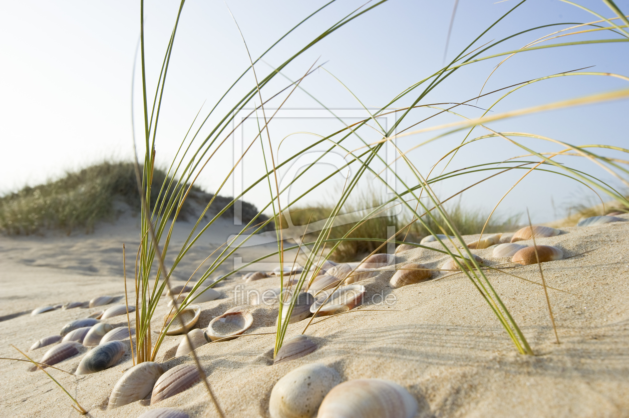 Bild-Nr.: 9809298 neulich am Strand 11 erstellt von danielschoenen