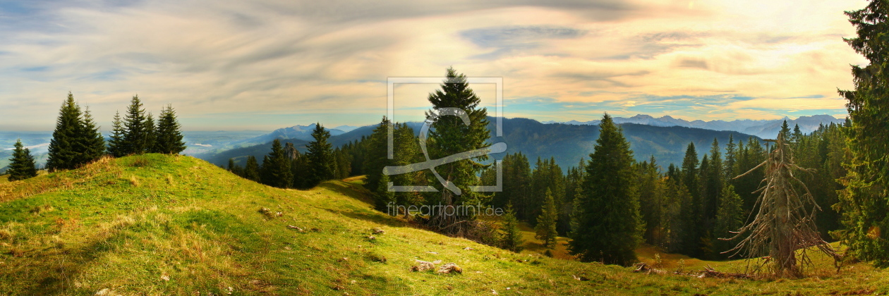 Bild-Nr.: 9809812 Of dead tree erstellt von fotoping