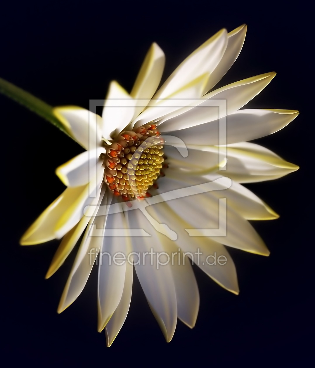 Bild-Nr.: 9823030 Lichtfarben Bild-Nr.: 9823030 Lichtfarben erstellt von Sunddesign