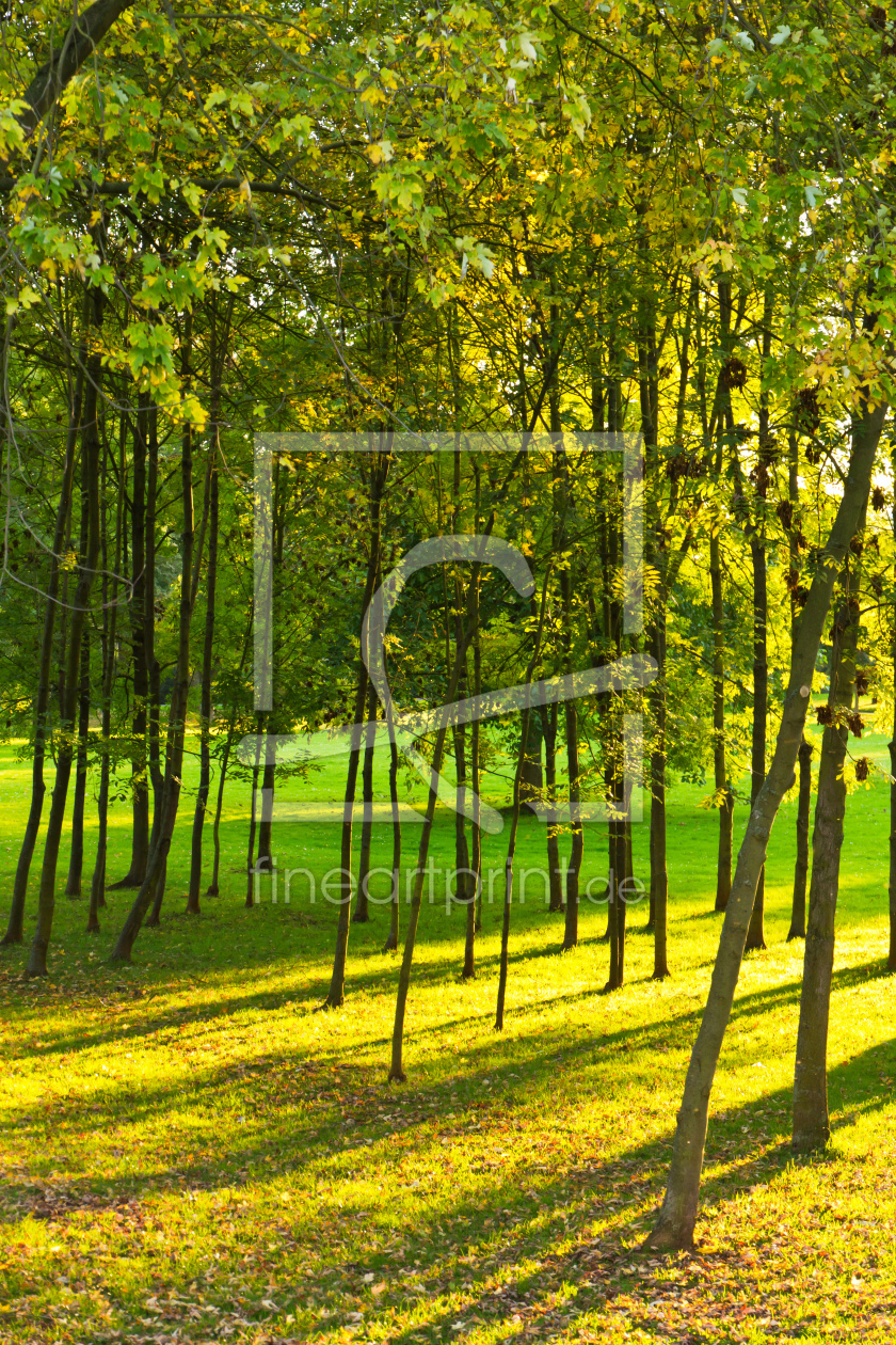 Bild-Nr.: 9823356 Herbstfrische erstellt von LeonardoFranko
