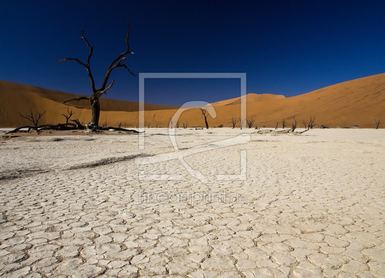 Bild-Nr.: 9824644 Deadvlei erstellt von milo6779