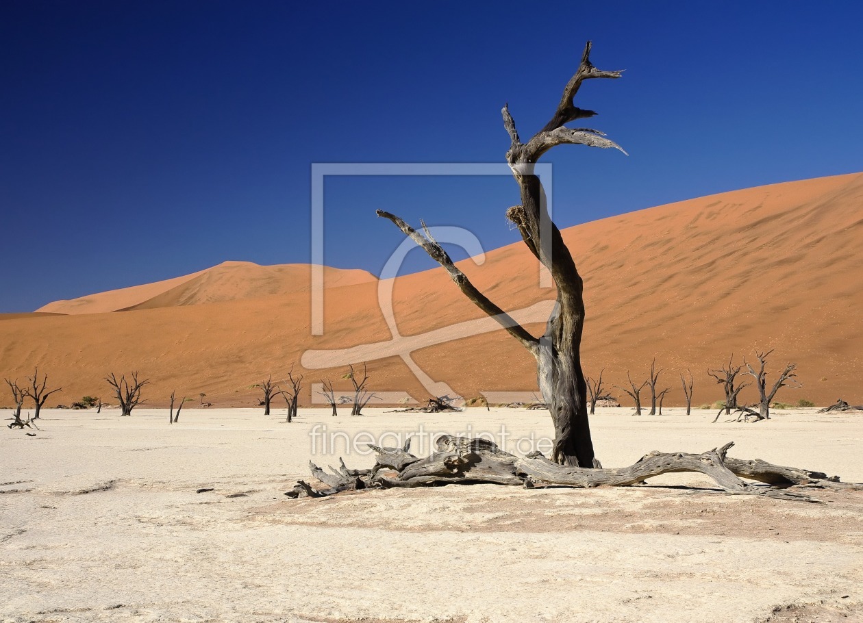 Bild-Nr.: 9824668 Deadvlei erstellt von milo6779