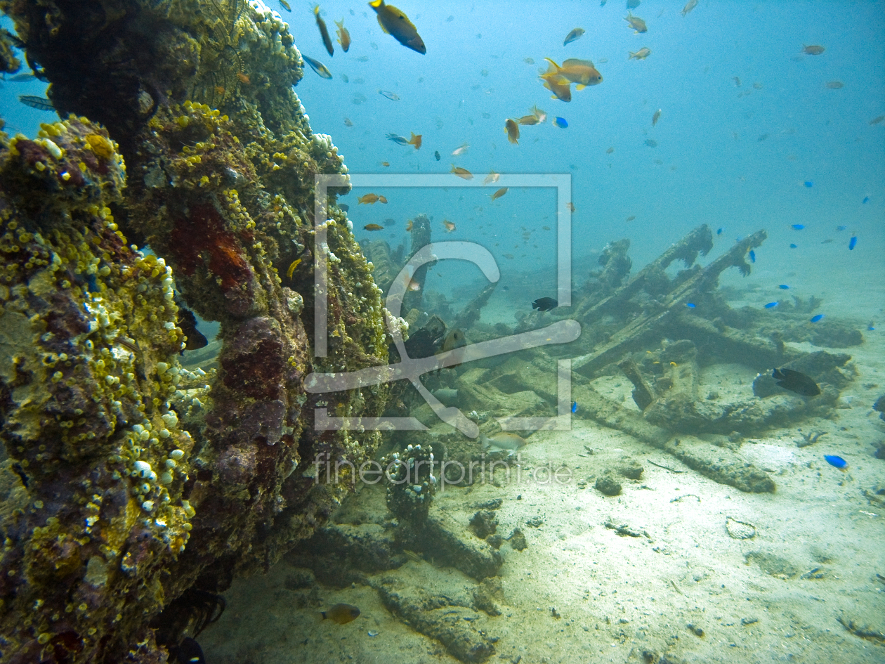 Bild-Nr.: 9826488 Korallenbewachsenes Schiffswrack erstellt von Colin