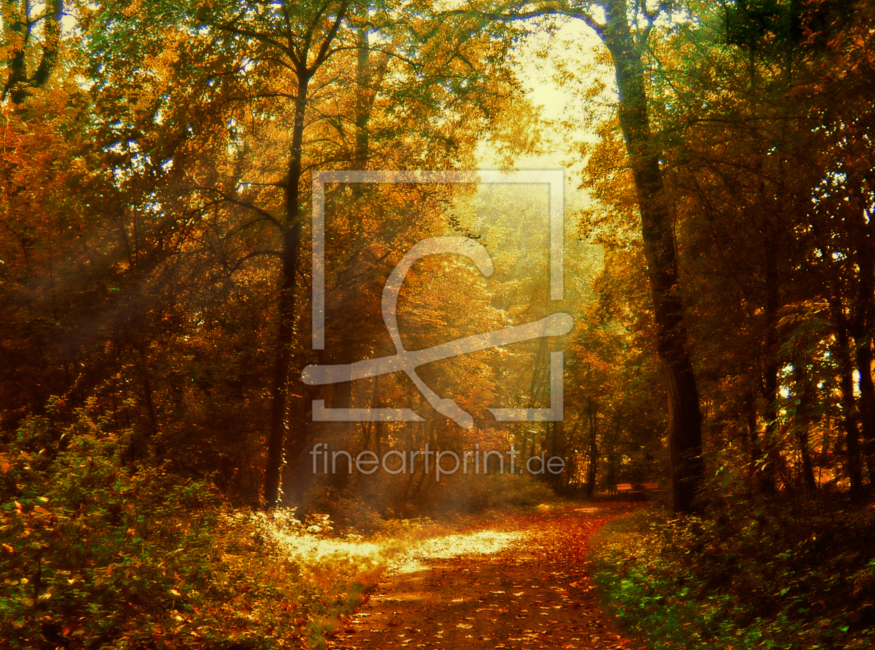 Bild-Nr.: 9826840 Schloßpark im Herbst erstellt von createur