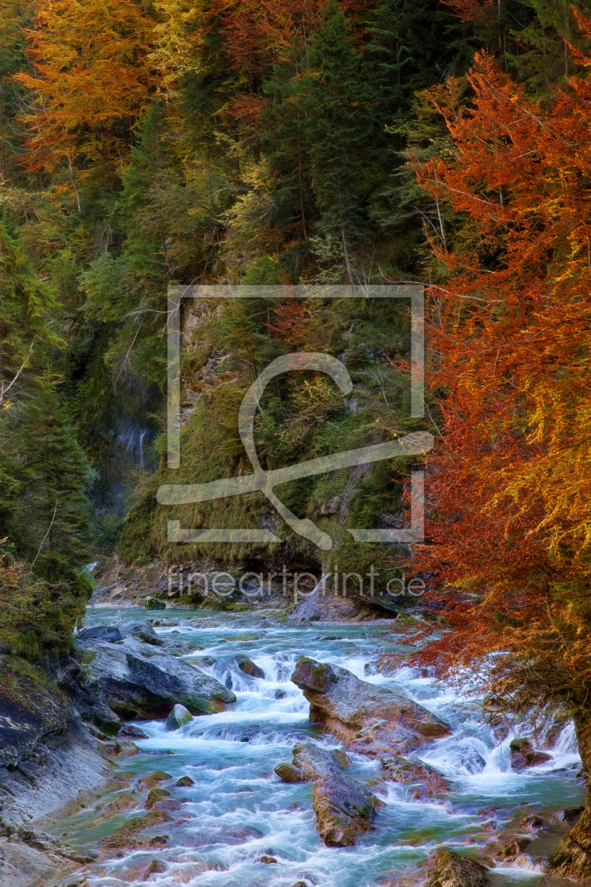 Bild-Nr.: 9827046 Herbst in der Klamm Bild-Nr.: 9827046 Herbst in der Klamm erstellt von Thomas Herzog