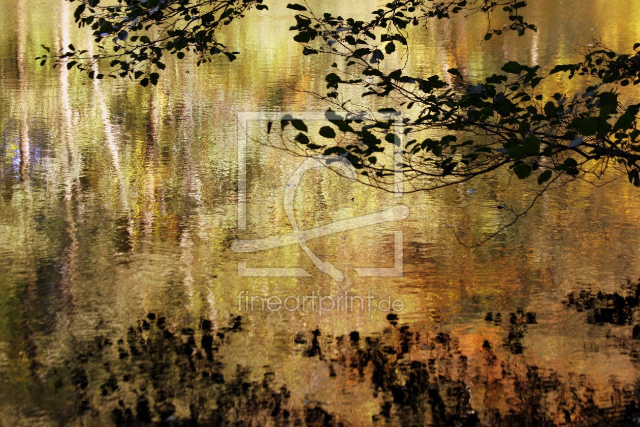 Bild-Nr.: 9837664 Herbstimpressionen erstellt von Renate Knapp