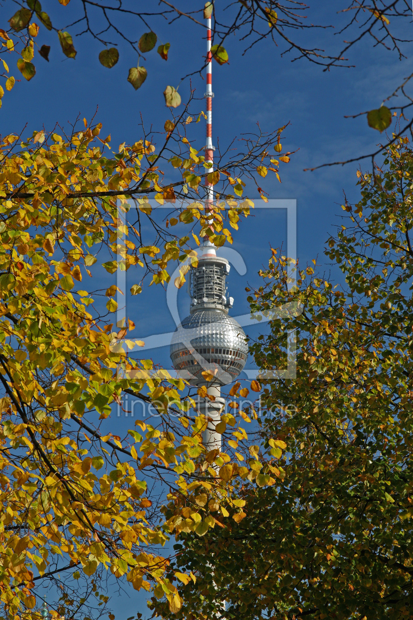 Bild-Nr.: 9838430 Herbstimpression erstellt von Toro