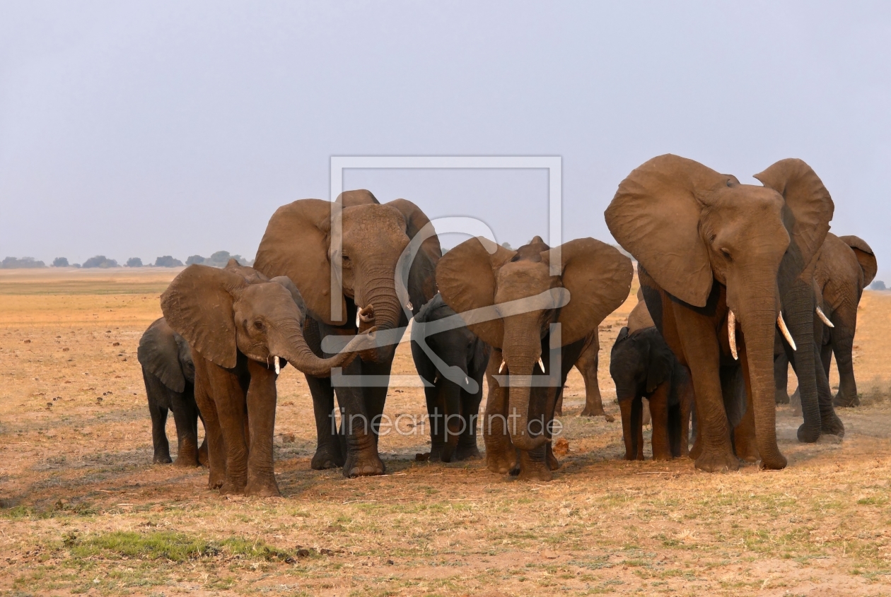 Bild-Nr.: 9838548 Elefantenfamilie erstellt von Annamaria