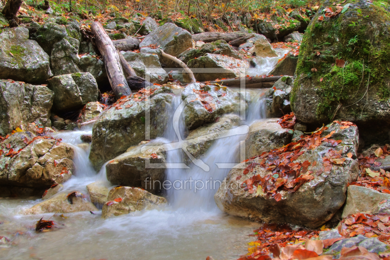 Bild-Nr.: 9840352 Herbst erstellt von haiderreini