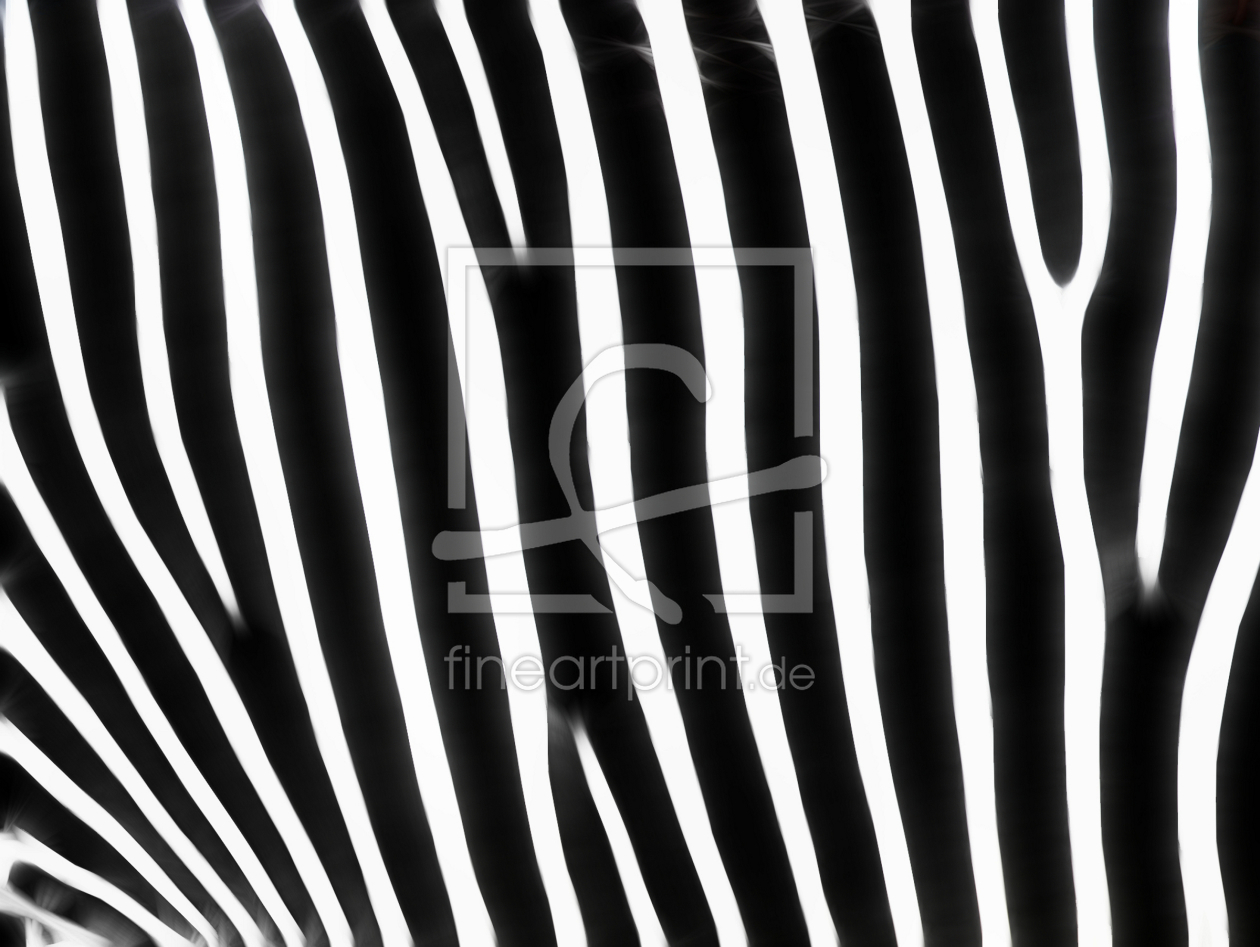 Bild-Nr.: 9840720 ZEBRA erstellt von Galerie-Fotoeffekt