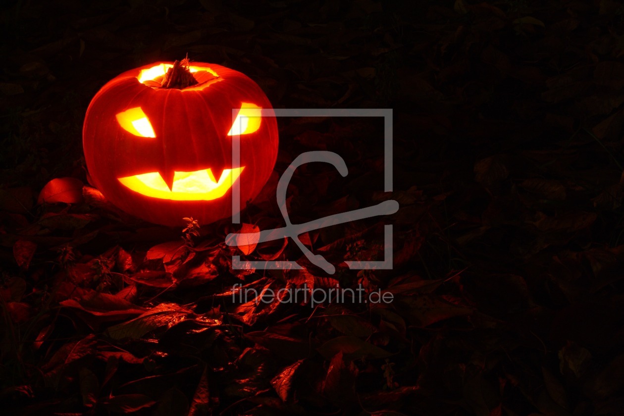 Bild-Nr.: 9842990 Jack O Lantern erstellt von Zerynthiinae