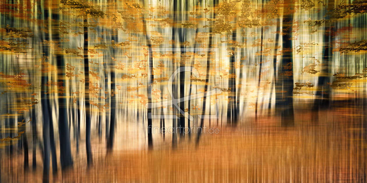 Bild-Nr.: 9846310 Fragment Forest | 01 erstellt von Frank Wächter