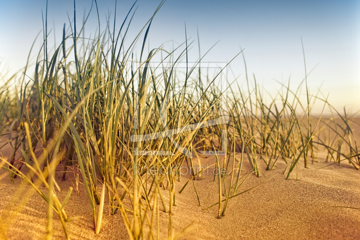 Bild-Nr.: 9846924 Nordsee | Strand ~ 4 erstellt von Frank Wächter