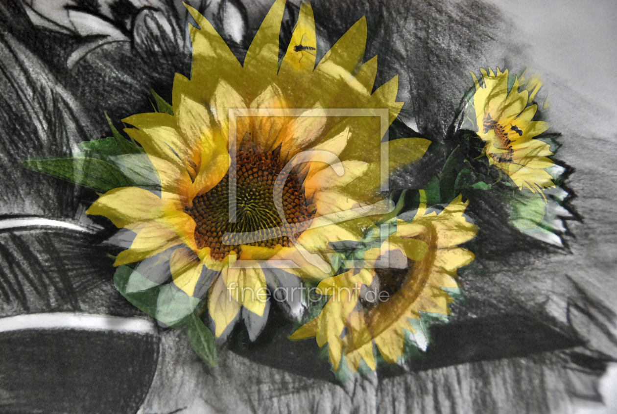 Bild-Nr.: 9846982 Sonnenblumen erstellt von AST