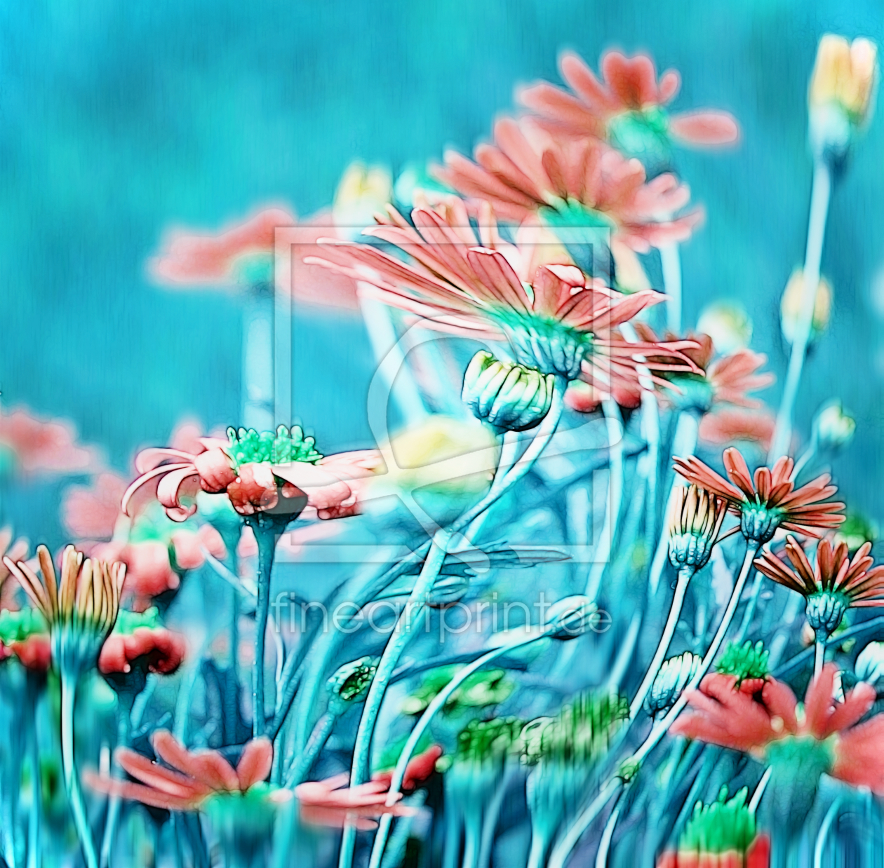 Bild-Nr.: 9850898 ~ A S T E R N ~ 2 erstellt von Galerie-Fotoeffekt