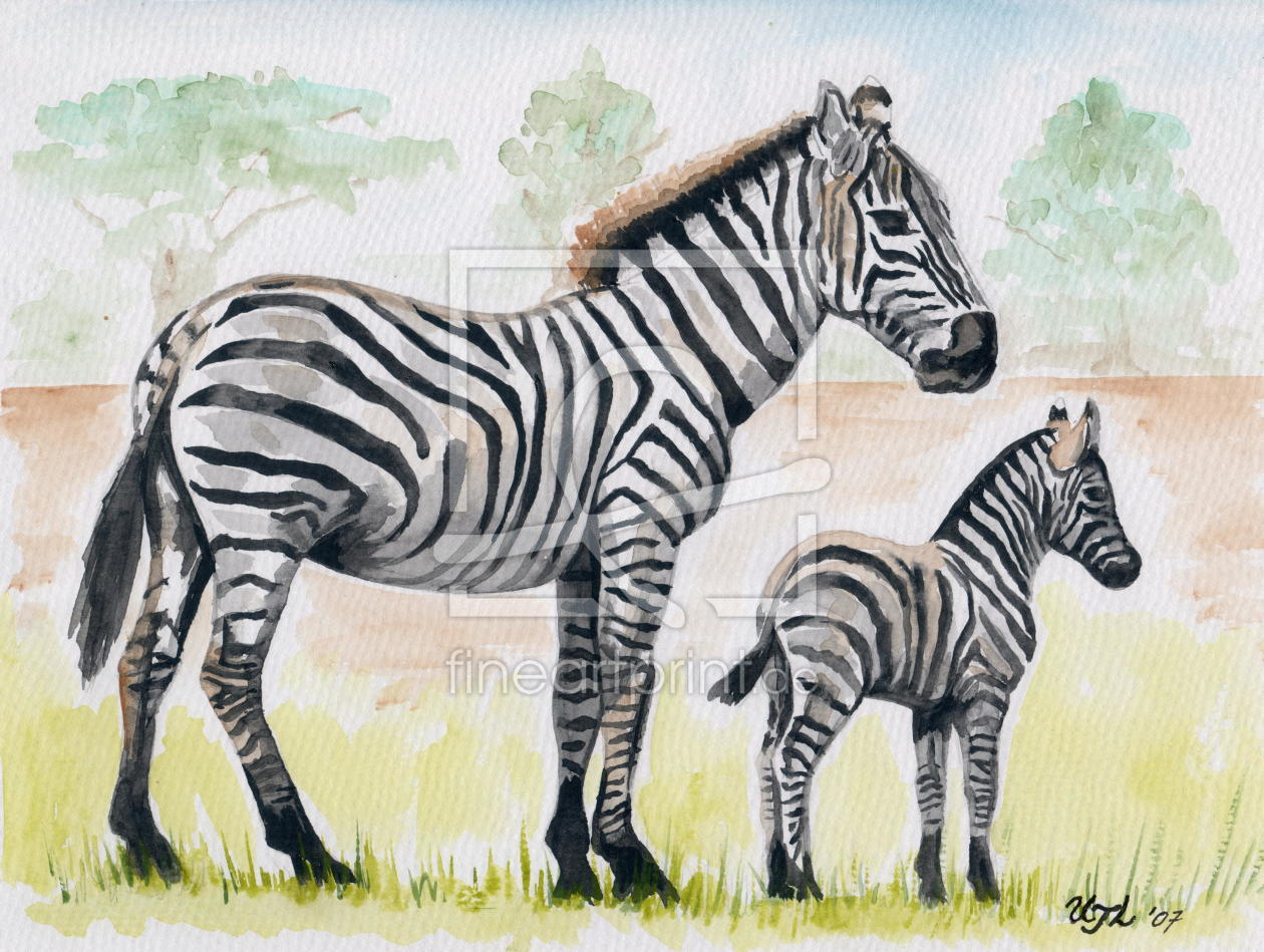 Bild-Nr.: 9851802 Zebras in der Steppe erstellt von UTLDesign