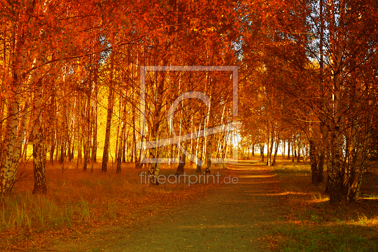 Bild-Nr.: 9852546 Herbst erstellt von Atteloi