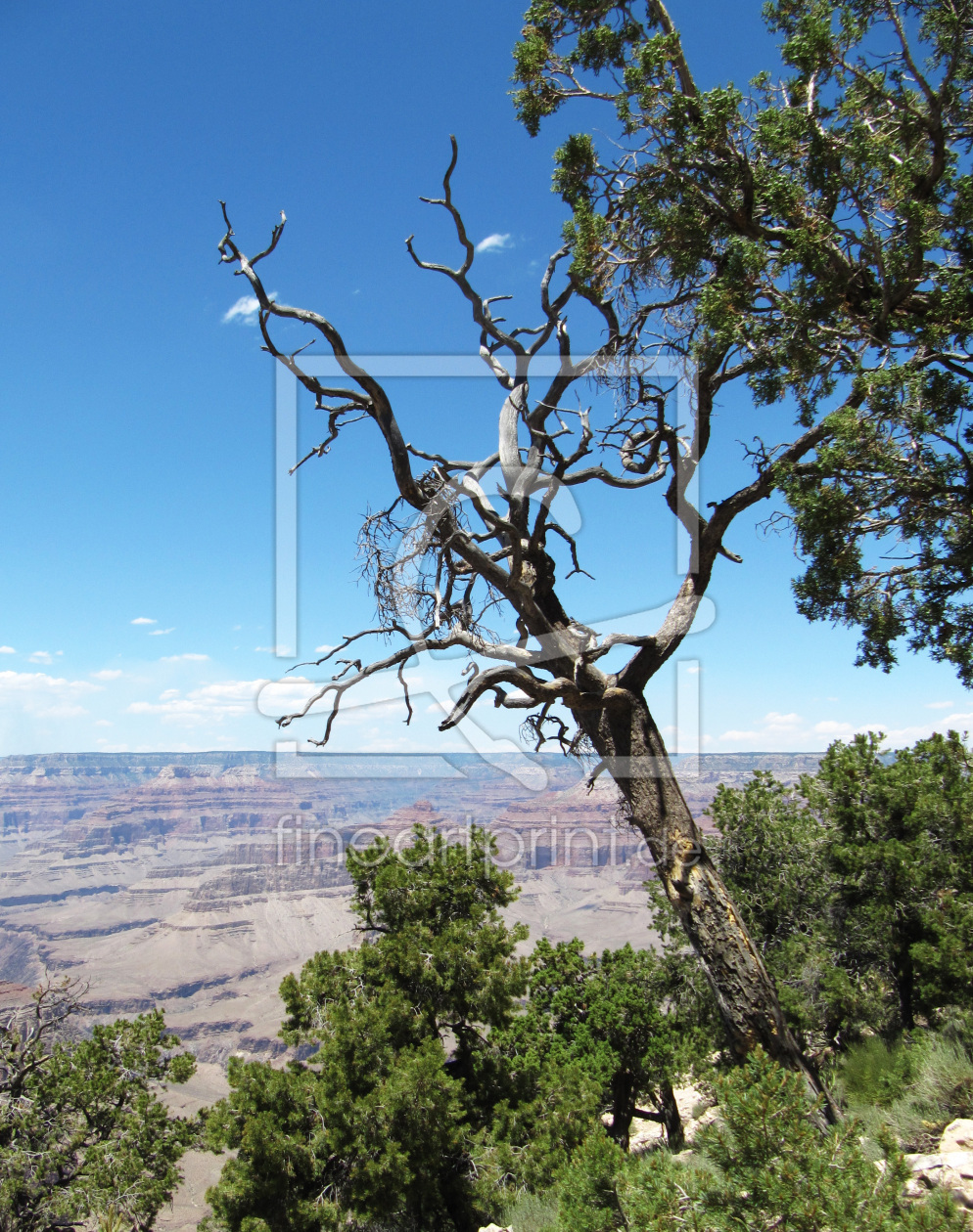 Bild-Nr.: 9853710 Gran Canyon, Amerika erstellt von Kissy1992