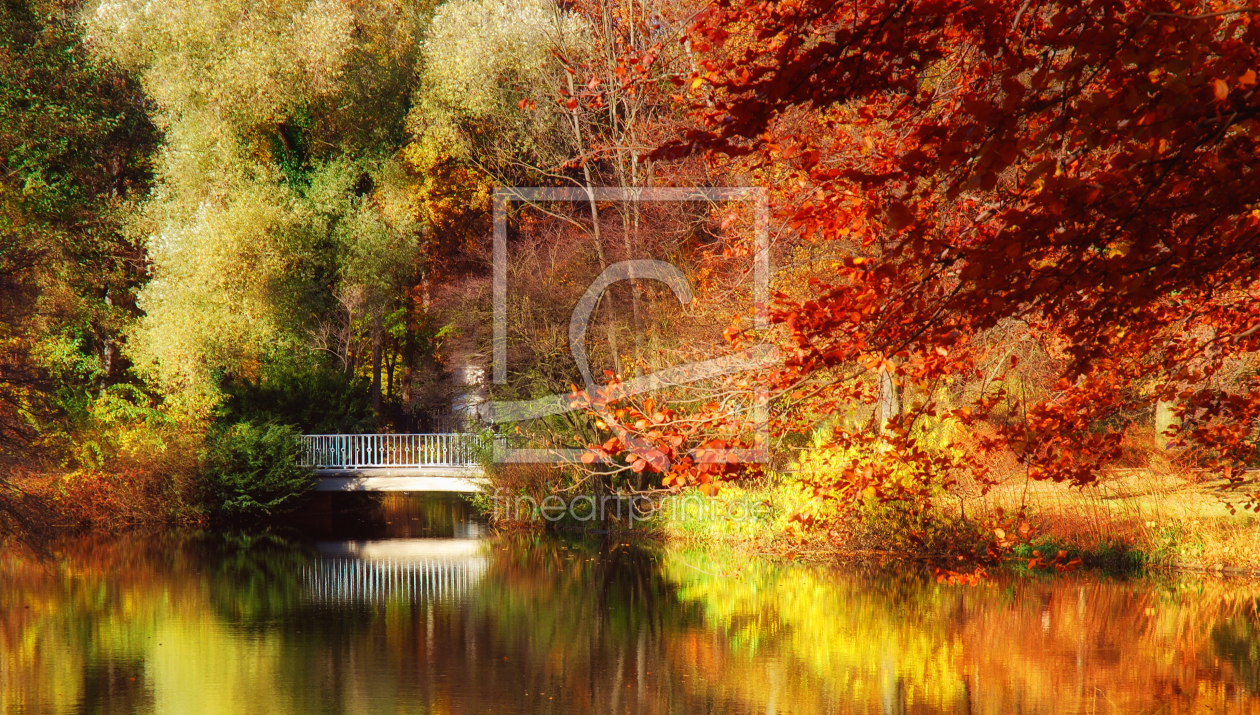 Bild-Nr.: 9854148 Herbst im Park erstellt von Atteloi
