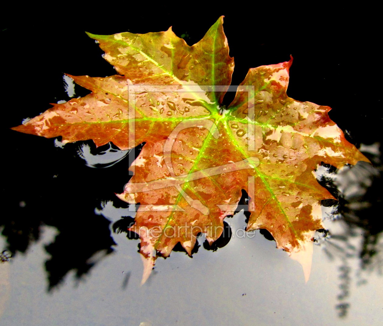 Bild-Nr.: 9855350 Herbst erstellt von Angie525A