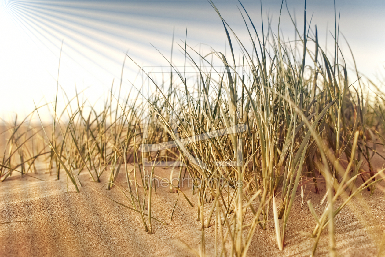 Bild-Nr.: 9855628 Nordsee | Strand ~ 7 erstellt von Frank Wächter