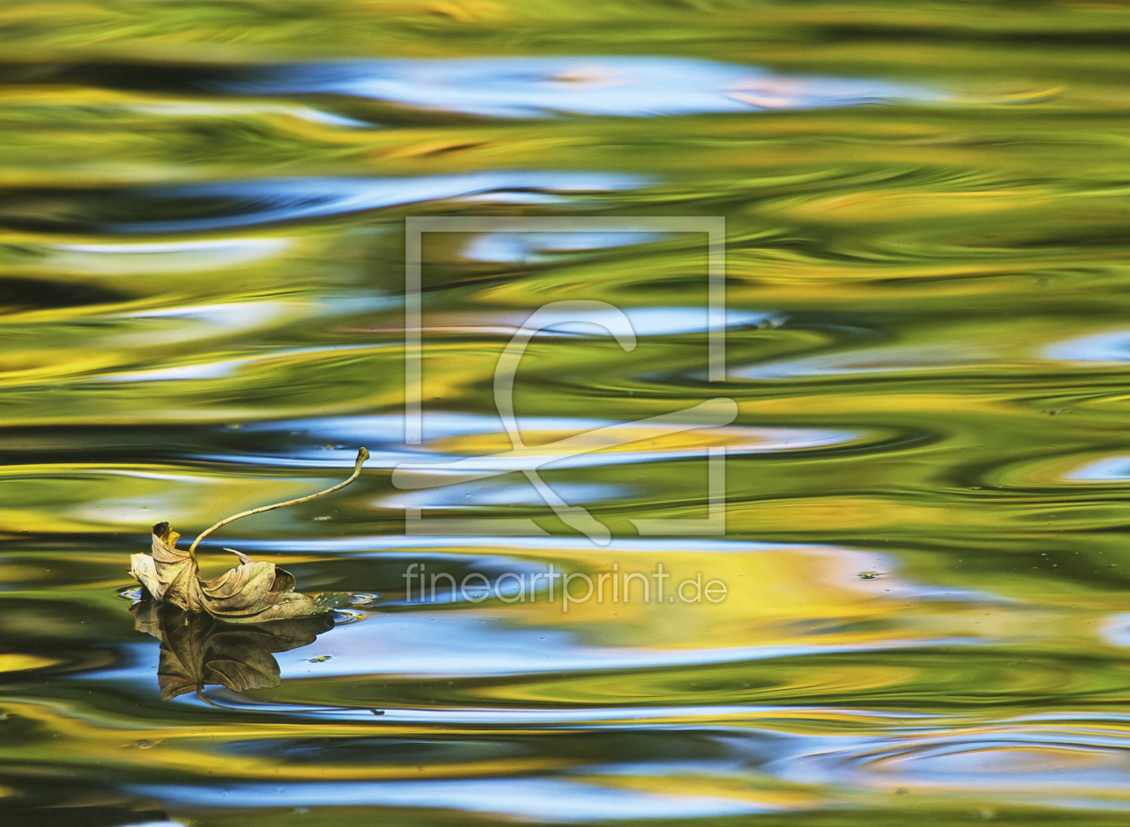 Bild-Nr.: 9855966 wasser-farben mit einem einsamen blatt...... erstellt von karl-j. gramann