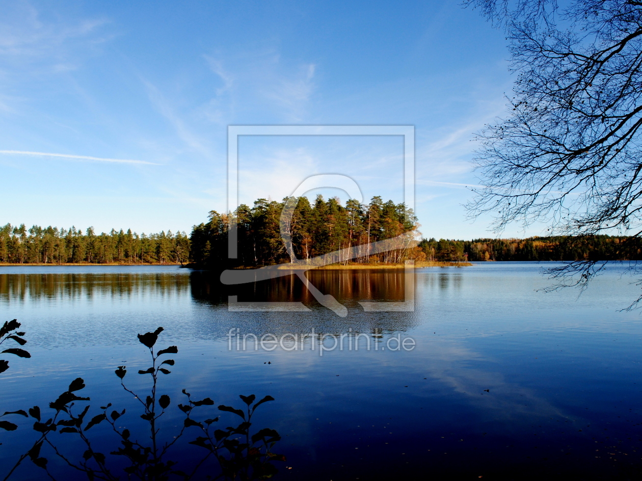 Bild-Nr.: 9859908 Waldsee erstellt von TinaDeFortunata