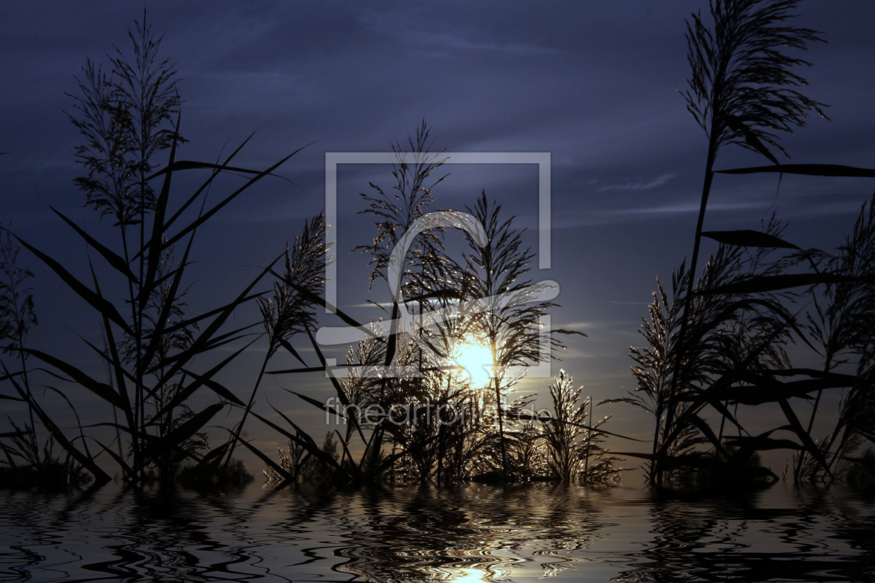 Bild-Nr.: 9862684 Blue Dreams erstellt von Renate Knapp