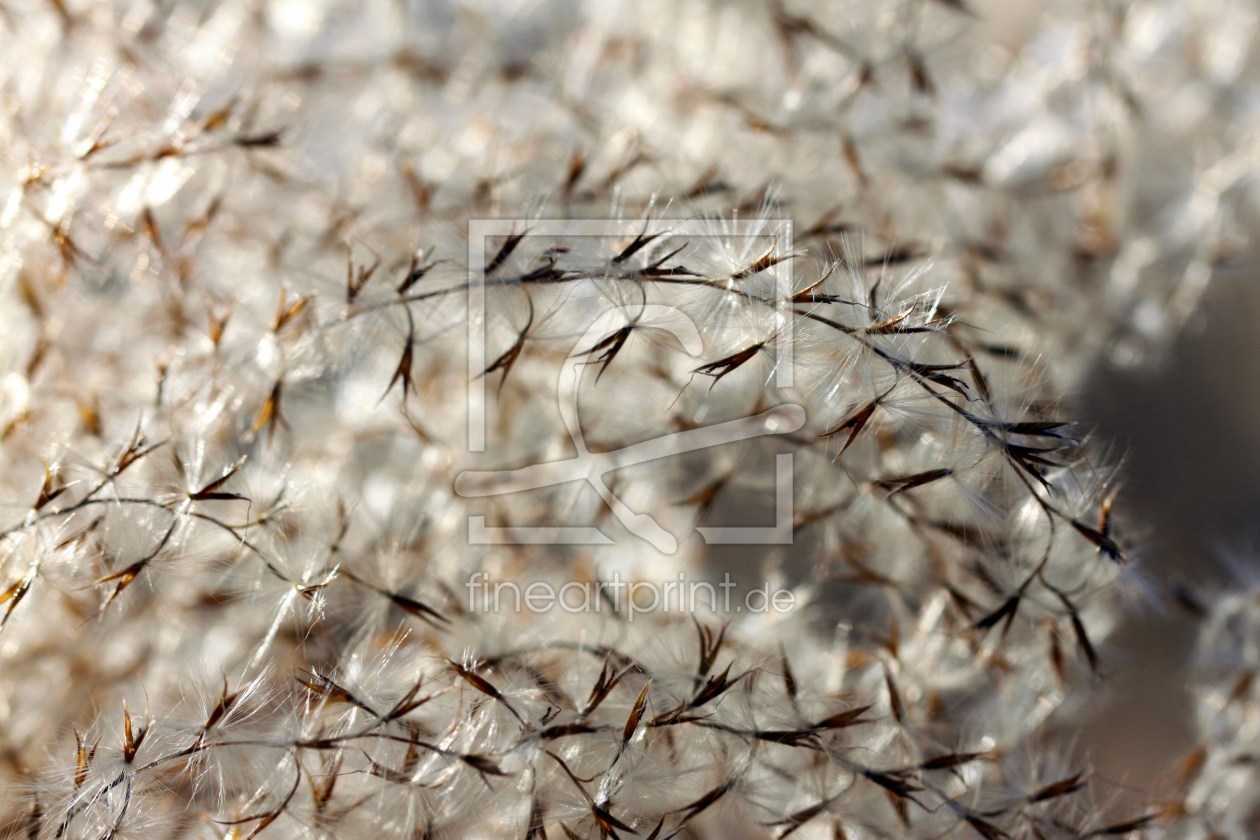 Bild-Nr.: 9866748 Filigran erstellt von Renate Knapp