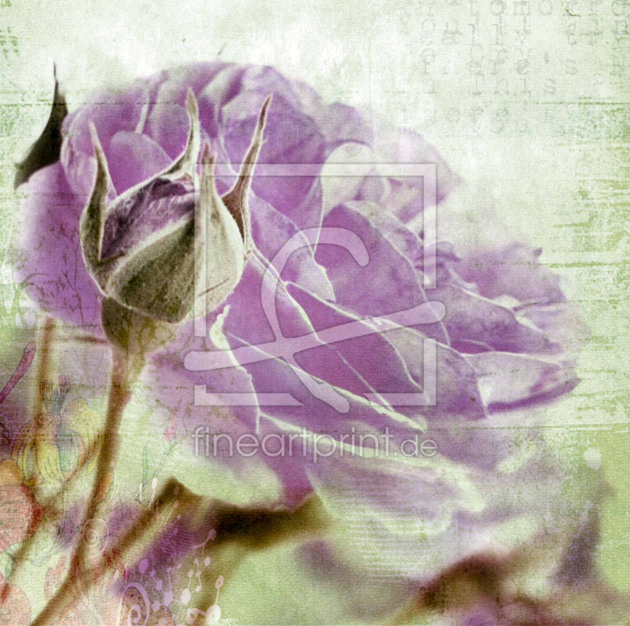 Bild-Nr.: 9867328 R O S E Bild-Nr.: 9867328 R O S E erstellt von Nettesart