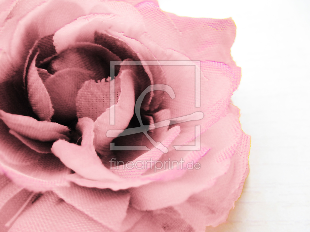 Bild-Nr.: 9867576 rosane Blüte erstellt von Kissy1992