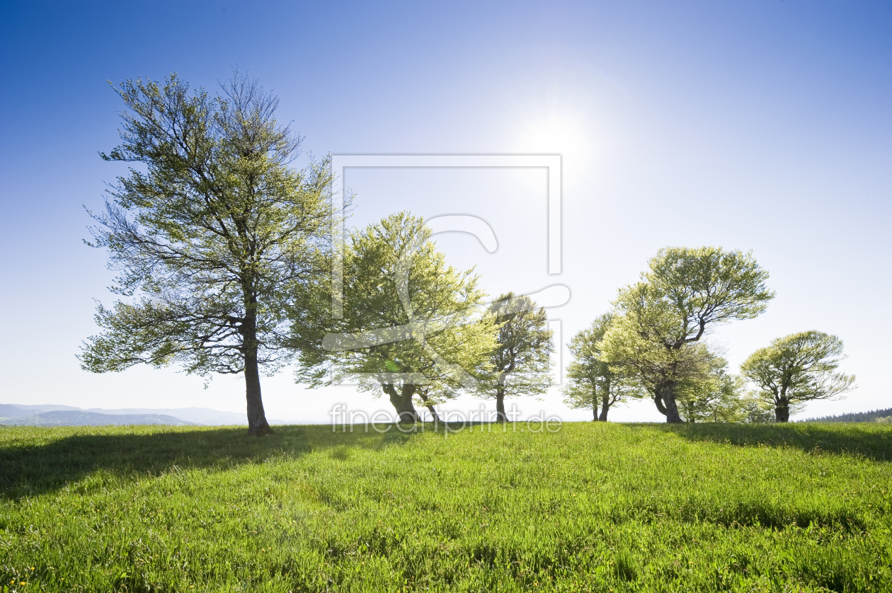 Bild-Nr.: 9874140 Schauinsland erstellt von danielschoenen