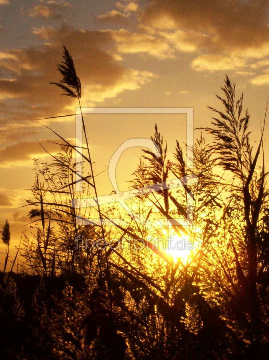 Bild-Nr.: 9878678 Leaving Daylight erstellt von Marion227