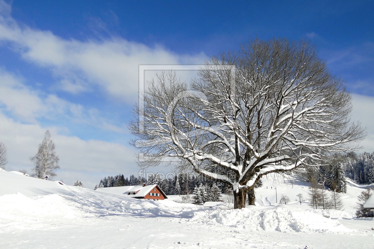 Bild-Nr.: 9879412 Winter im Allgäu erstellt von Renate Knapp