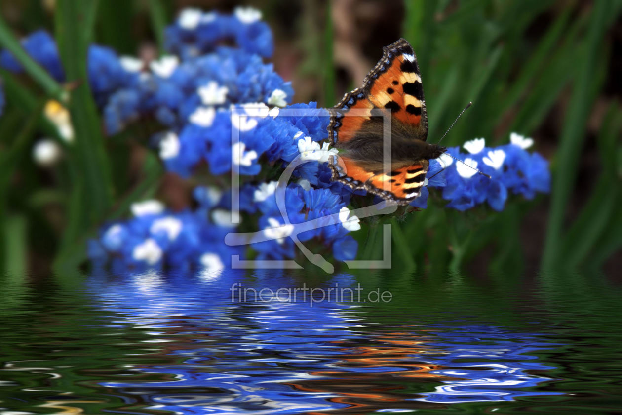 Bild-Nr.: 9881082 Schmetterling erstellt von Uwe Jahn