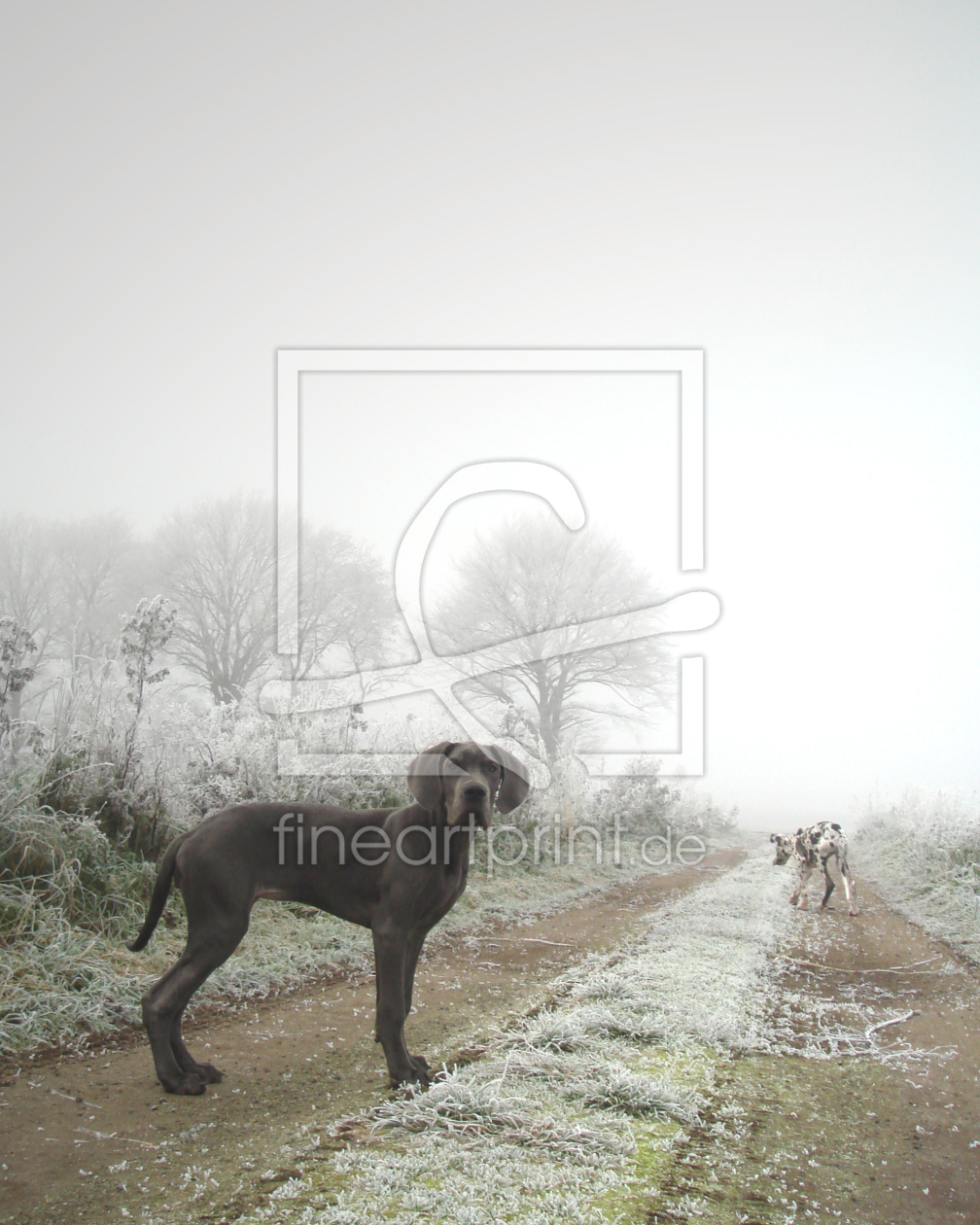 Bild-Nr.: 9884386 Doggen im Winter erstellt von yammay