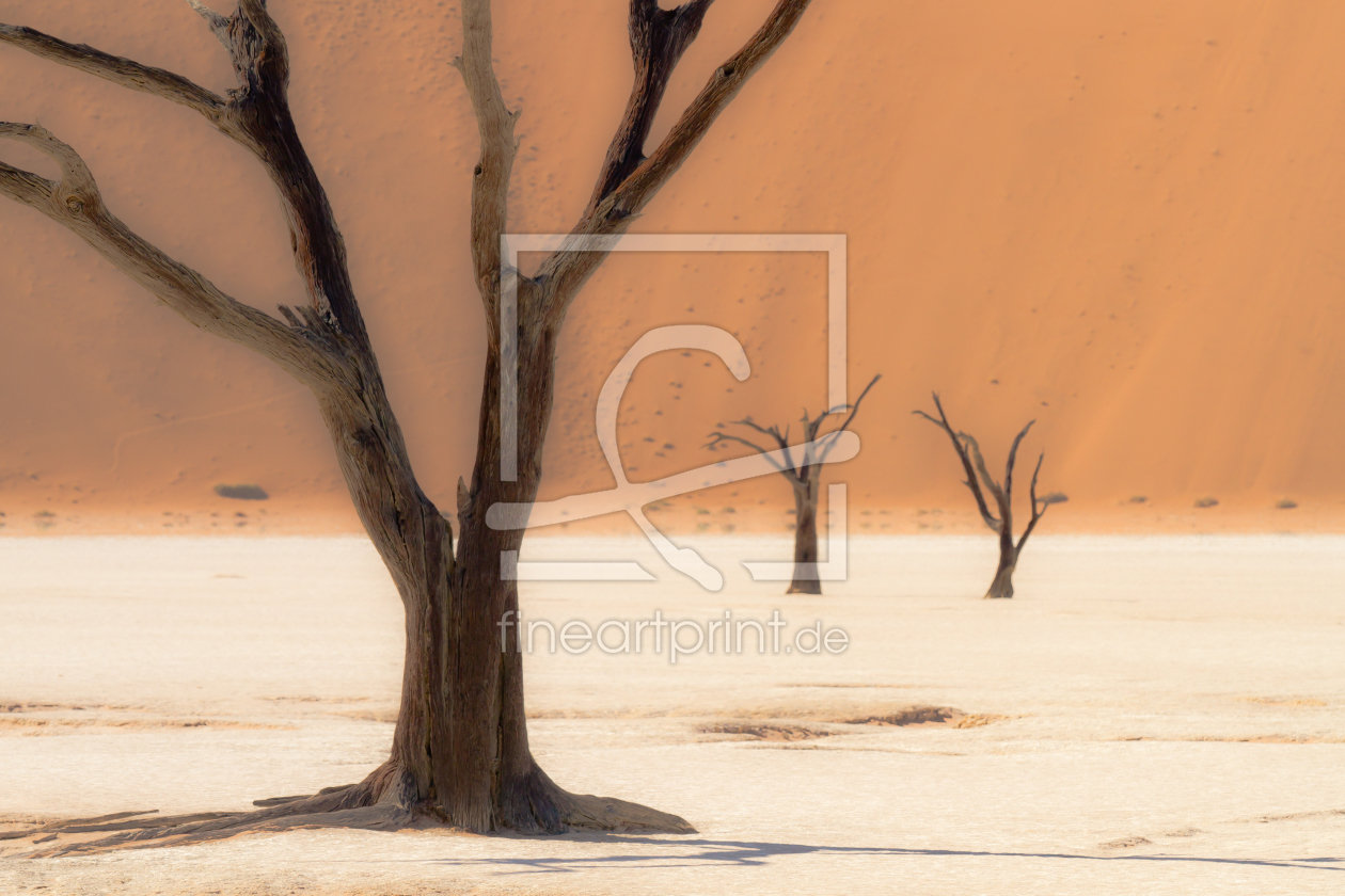 Bild-Nr.: 9888704 Wüstenimpression erstellt von Gerlinde Klust