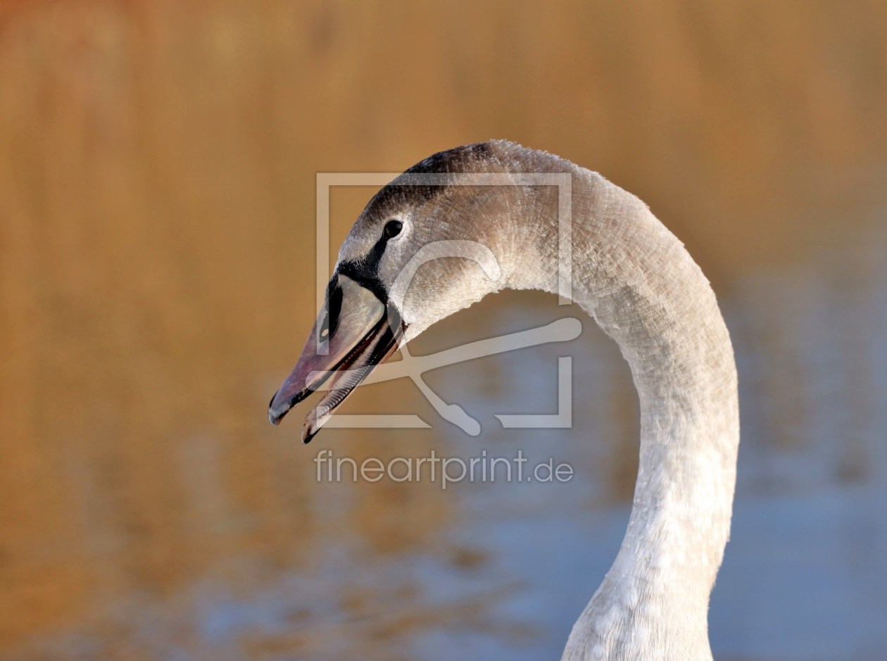 Bild-Nr.: 9890352 Mama.... erstellt von Renate Knapp