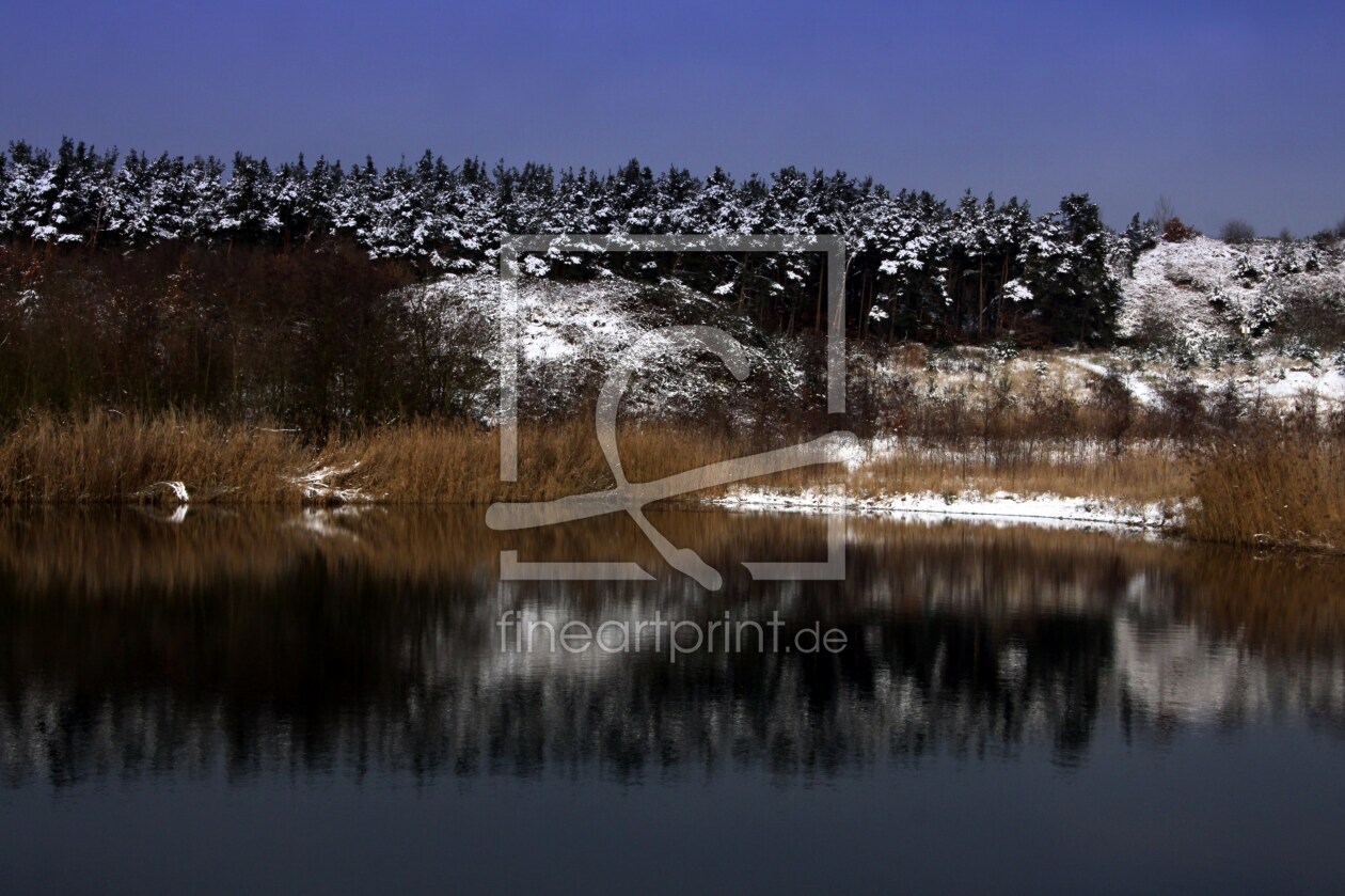Bild-Nr.: 9891336 Winter am See erstellt von Renate Knapp