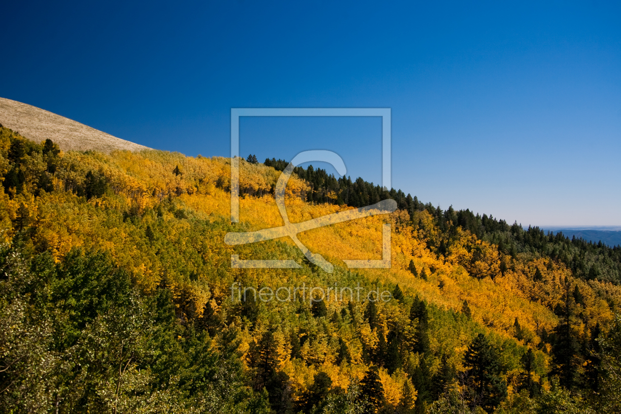 Bild-Nr.: 9893478 herbst in new mexico erstellt von ralf kaiser