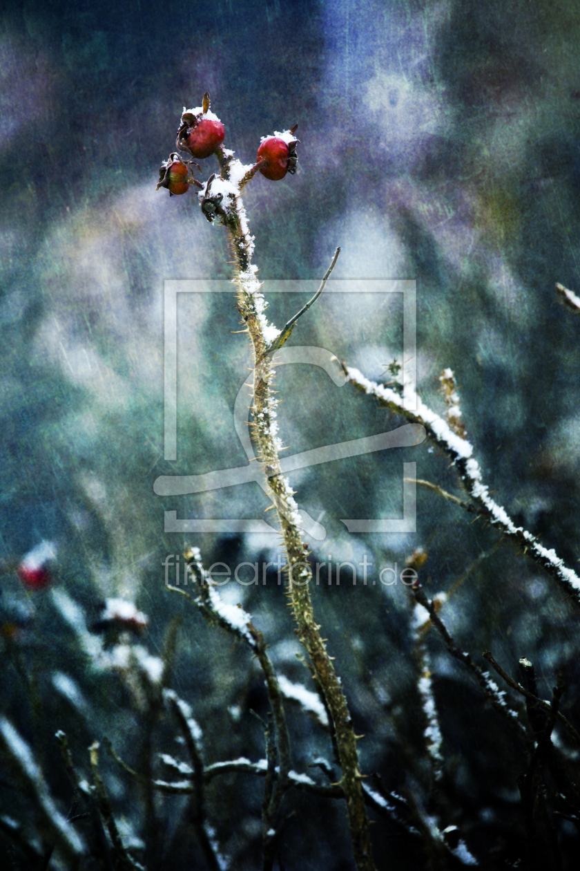 Bild-Nr.: 9893486 Schneetreiben Bild-Nr.: 9893486 Schneetreiben erstellt von Timo Geble