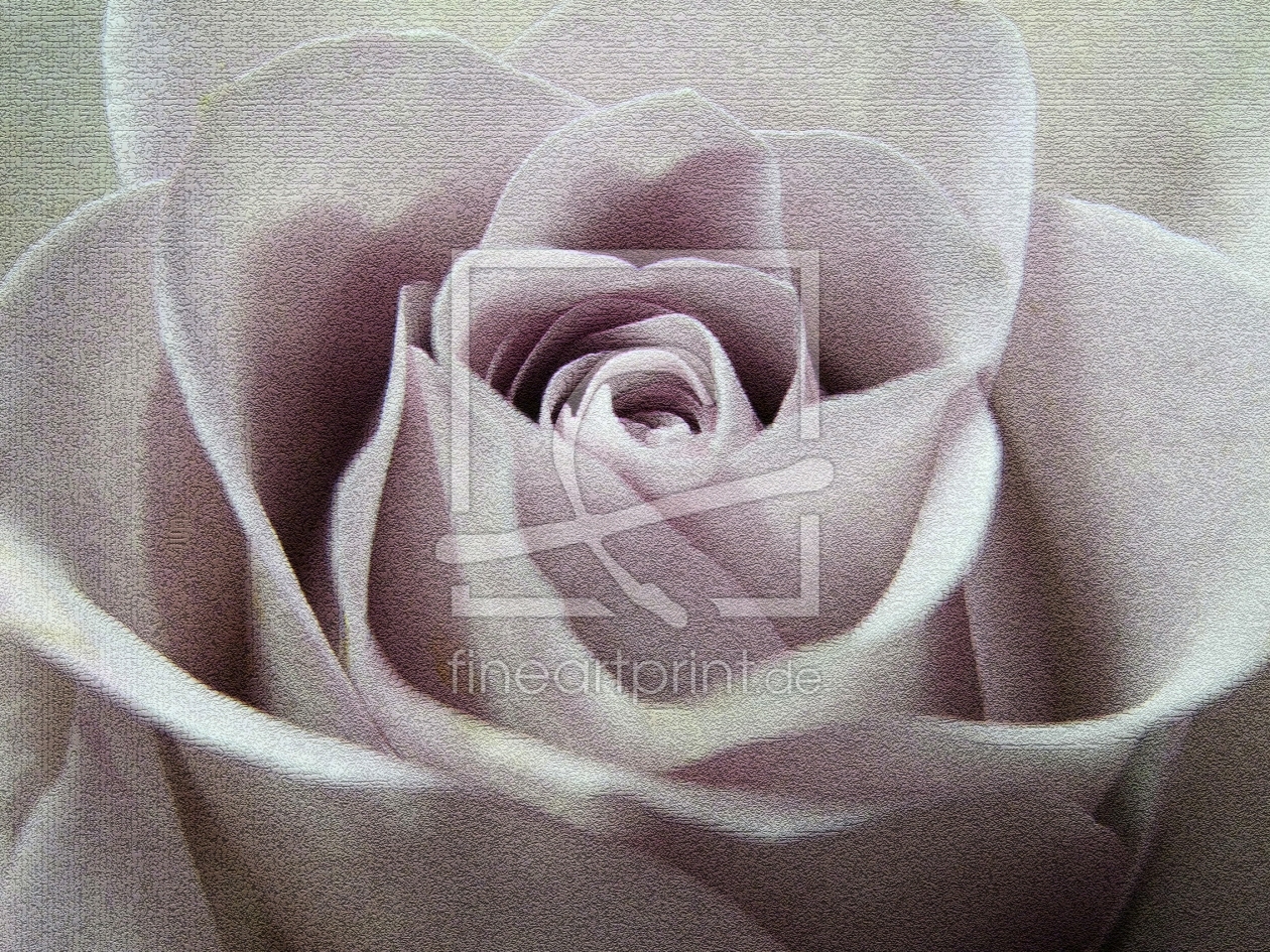 Bild-Nr.: 9894396 Rosenwelt erstellt von Charabia