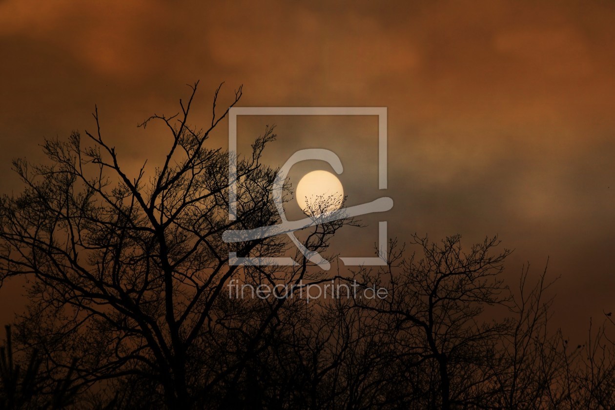 Bild-Nr.: 9895370 Wintersonne erstellt von Renate Knapp