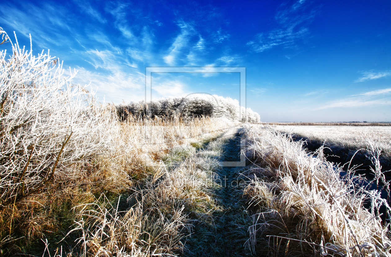 Bild-Nr.: 9895956 Endlich Winter erstellt von Timo Geble